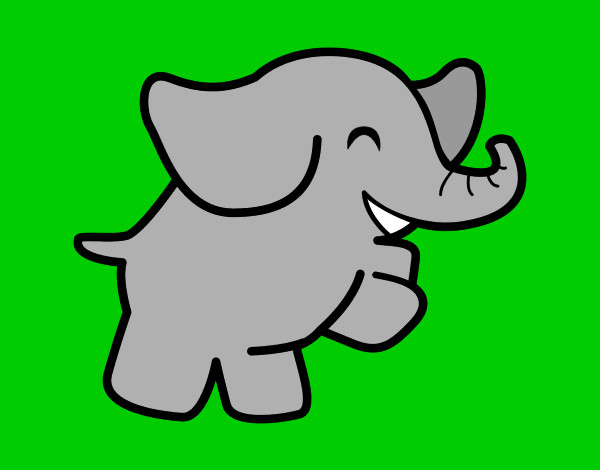 Elefante bailarino