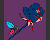 Desenho Rosa pintado por lucasgta20