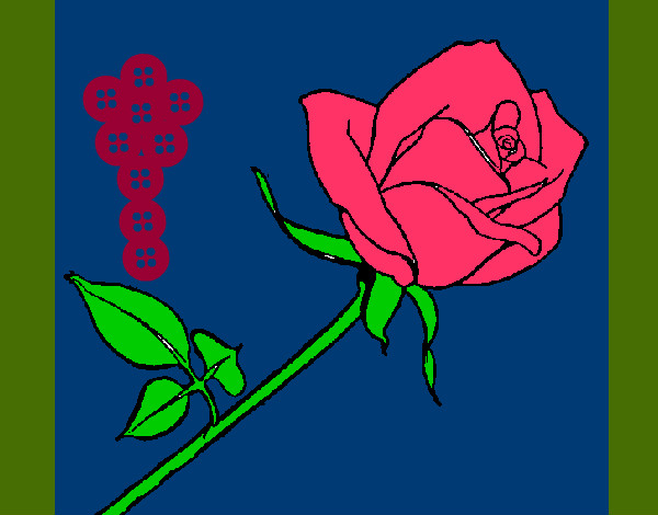 Desenho Rosa pintado por melissa08