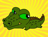 Desenho Crocodilo pequeno pintado por LeoHenriqu