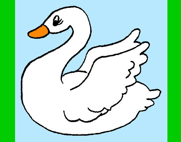 Desenho Cisne pintado por Leal