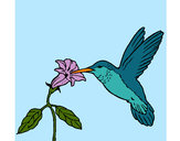 Desenho Colibri e uma flor pintado por Euri