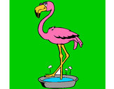 Desenho Flamingo com os pés de molho pintado por carol