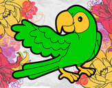 Desenho Papagaio abrir a asa pintado por Leal