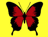 Desenho Borboleta com asas negras pintado por Vanuza