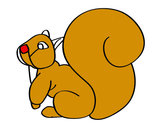 Desenho Esquilo com uma cauda grande pintado por vaneyuwi