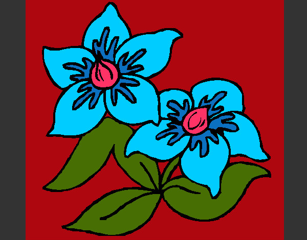 Desenho Flores 3 pintado por Vanuza