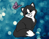 Desenho Gatito e Borboleta pintado por Soso