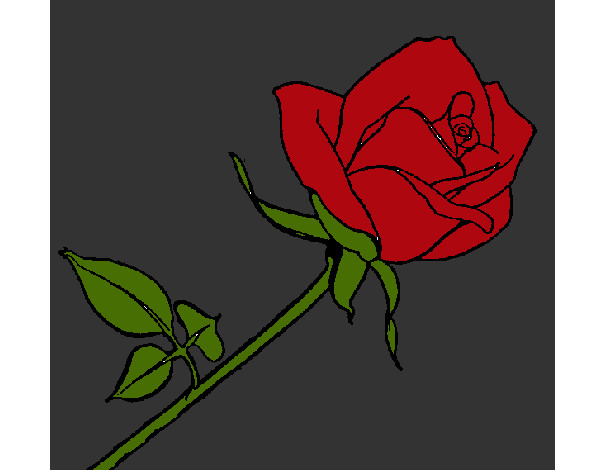 Desenho Rosa pintado por Vanuza