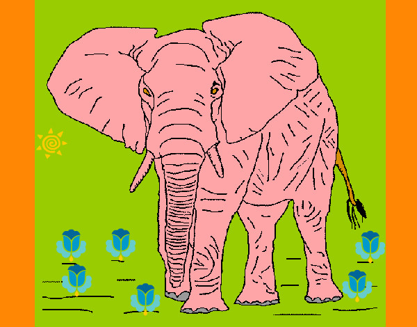 Desenho Elefante 1 pintado por daniel23