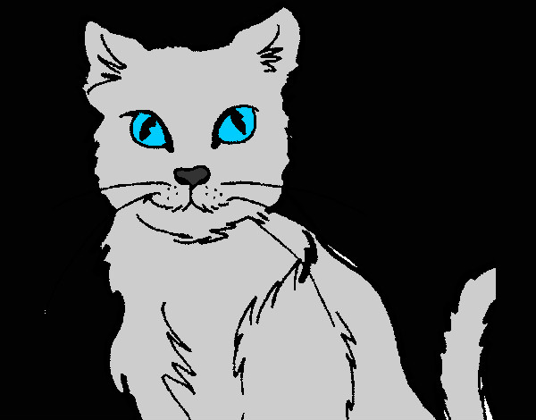 Desenho Gato pintado por Renatta