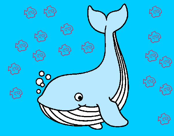 Desenho Pequena baleia pintado por daniel23