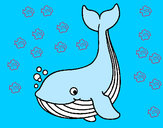 Desenho Pequena baleia pintado por daniel23