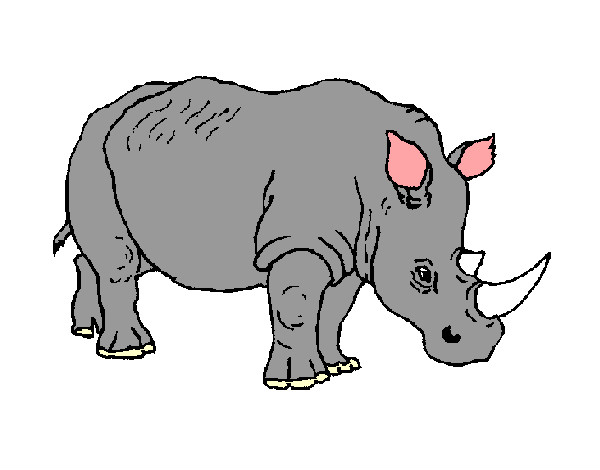 Desenho Rinoceronte 3 pintado por lugff