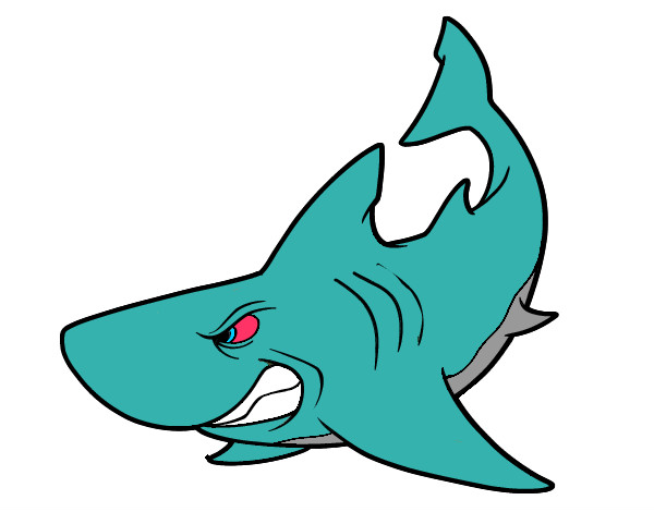 Desenho Tubarão furioso pintado por lugff