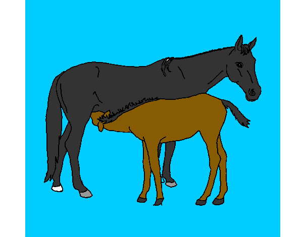 Desenho Cavalos pintado por brenda1232