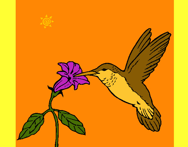 Desenho Colibri e uma flor pintado por missmirim