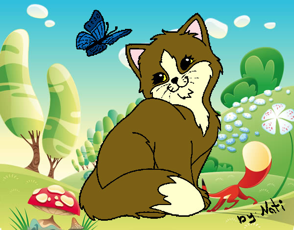 Desenho Gatito e Borboleta pintado por ImShampoo