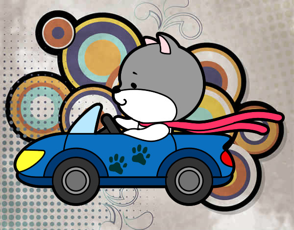 Desenho Gato dirigindo pintado por ImShampoo