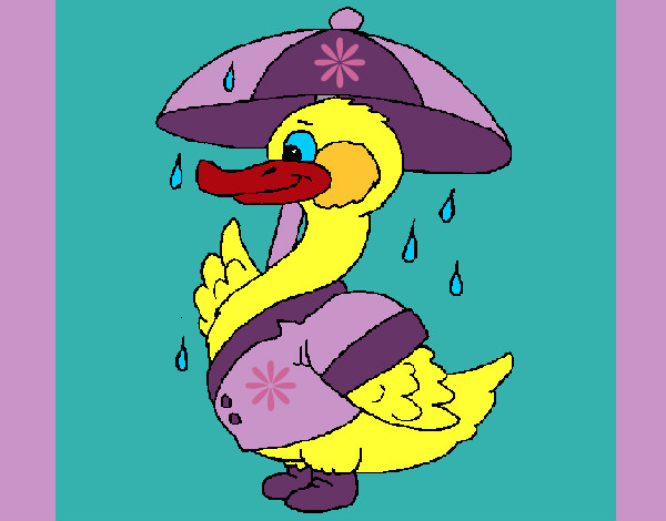Desenho Pato sob a chuva pintado por missmirim