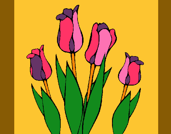 Desenho Tulipa pintado por missmirim