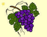 Desenho Cacho de uvas pintado por missmirim