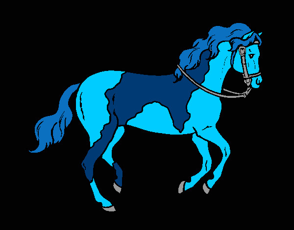 Desenho Cavalo 5 pintado por netan