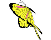 Desenho Borboleta com grandes asas pintado por daniel23