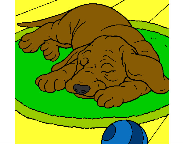 Desenho Cão a dormir pintado por Leal