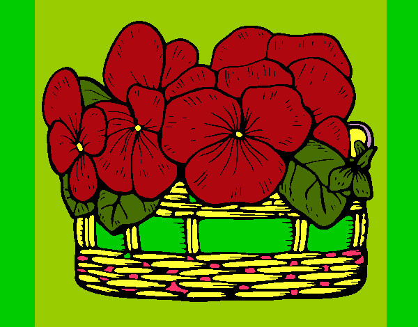  cesta de flores