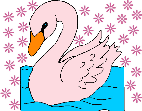 Desenho Cisne pintado por Jessic