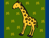 Desenho Girafa 2 pintado por sissapaz