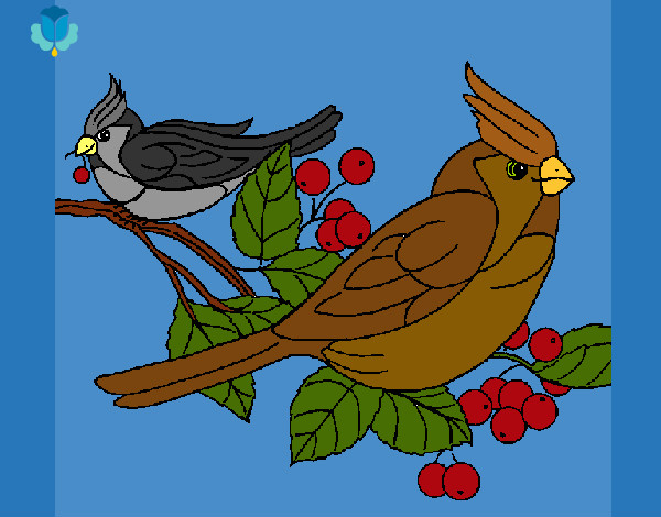 Desenho Pássaros pintado por Helen2012