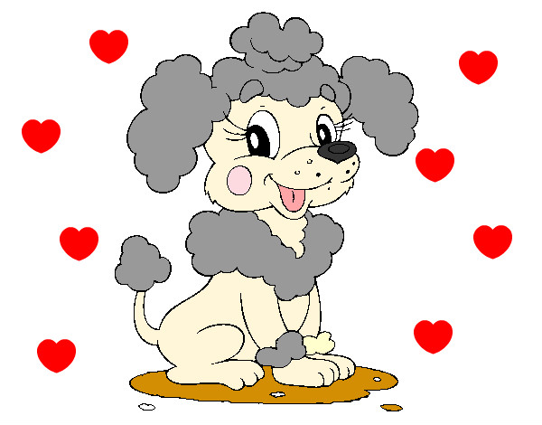 Desenho Poodle pintado por Laila