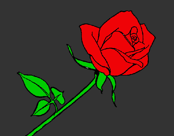 Desenho Rosa pintado por brunaoask