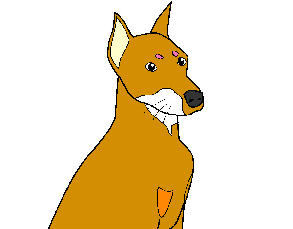Desenho Cão 2 pintado por mufasa