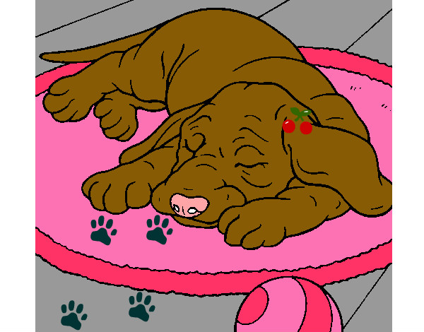 Desenho Cão a dormir pintado por Lohana