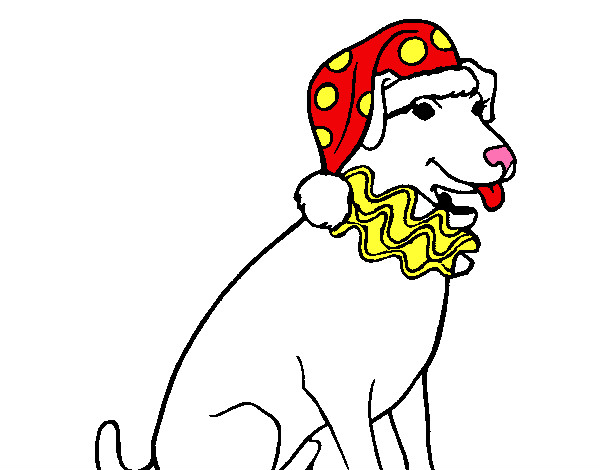 Desenho Cão palhaço pintado por matheus150