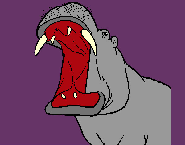 Desenho Hipopótamo com a boca aberta pintado por ImShampoo