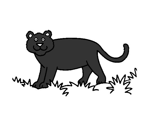 Desenho Panthera  pintado por ReiDavi