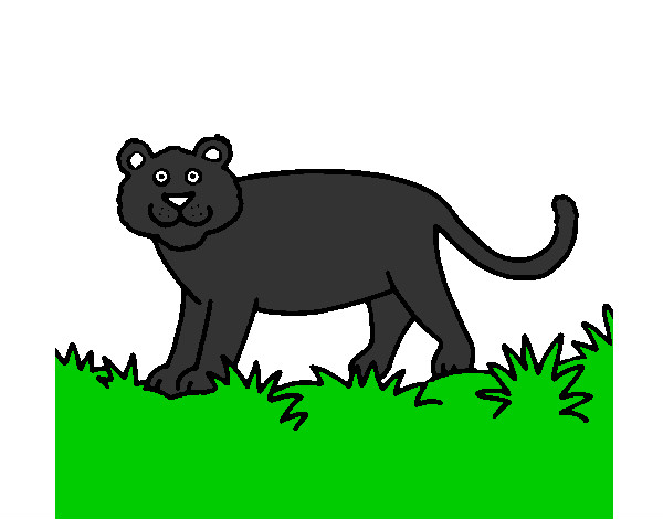 Desenho Panthera  pintado por ReiDavi