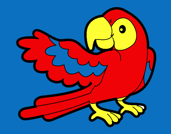 Desenho Papagaio abrir a asa pintado por Atchonga