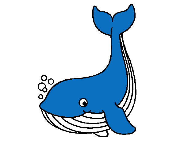 Desenho Pequena baleia pintado por ReiDavi