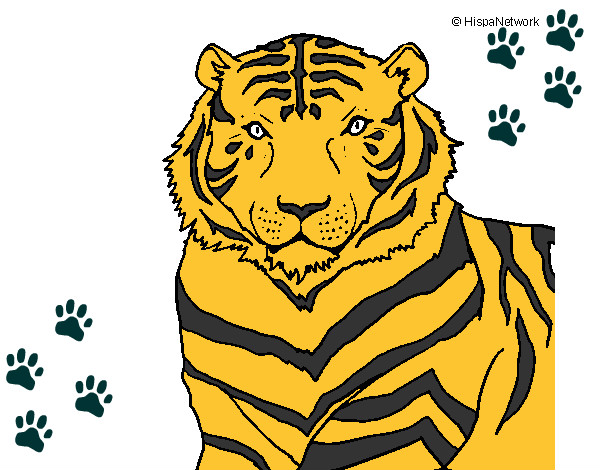 Desenho Tigre pintado por brunaoask