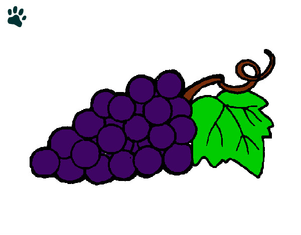 Cacho de uva