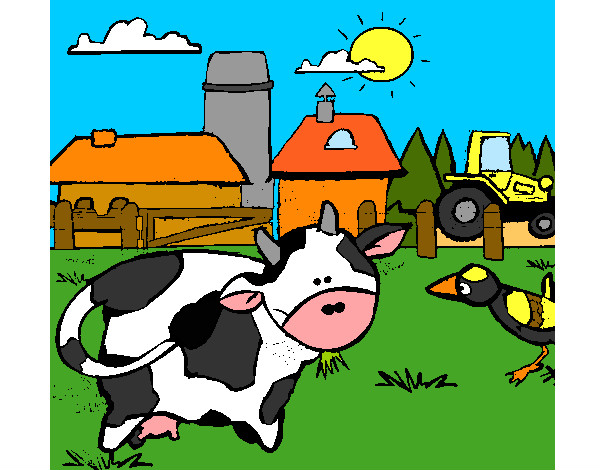 Vaca na quinta