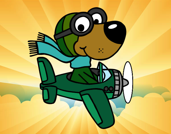 Cachorro aviador