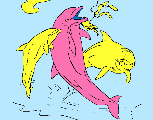Desenho Golfinhos a brincar pintado por Nilza