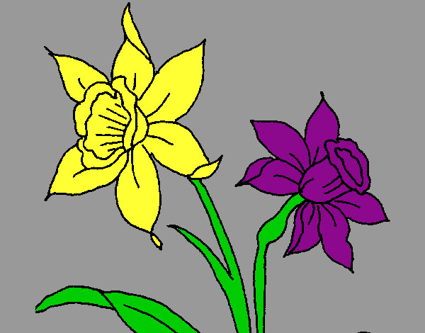 Desenho Orquídea pintado por antonieta