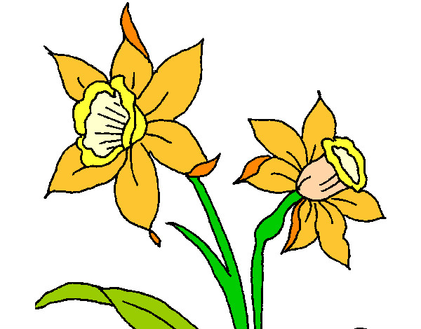 Desenho Orquídea pintado por maria12345